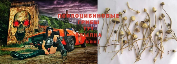 молекула духа Белоозёрский